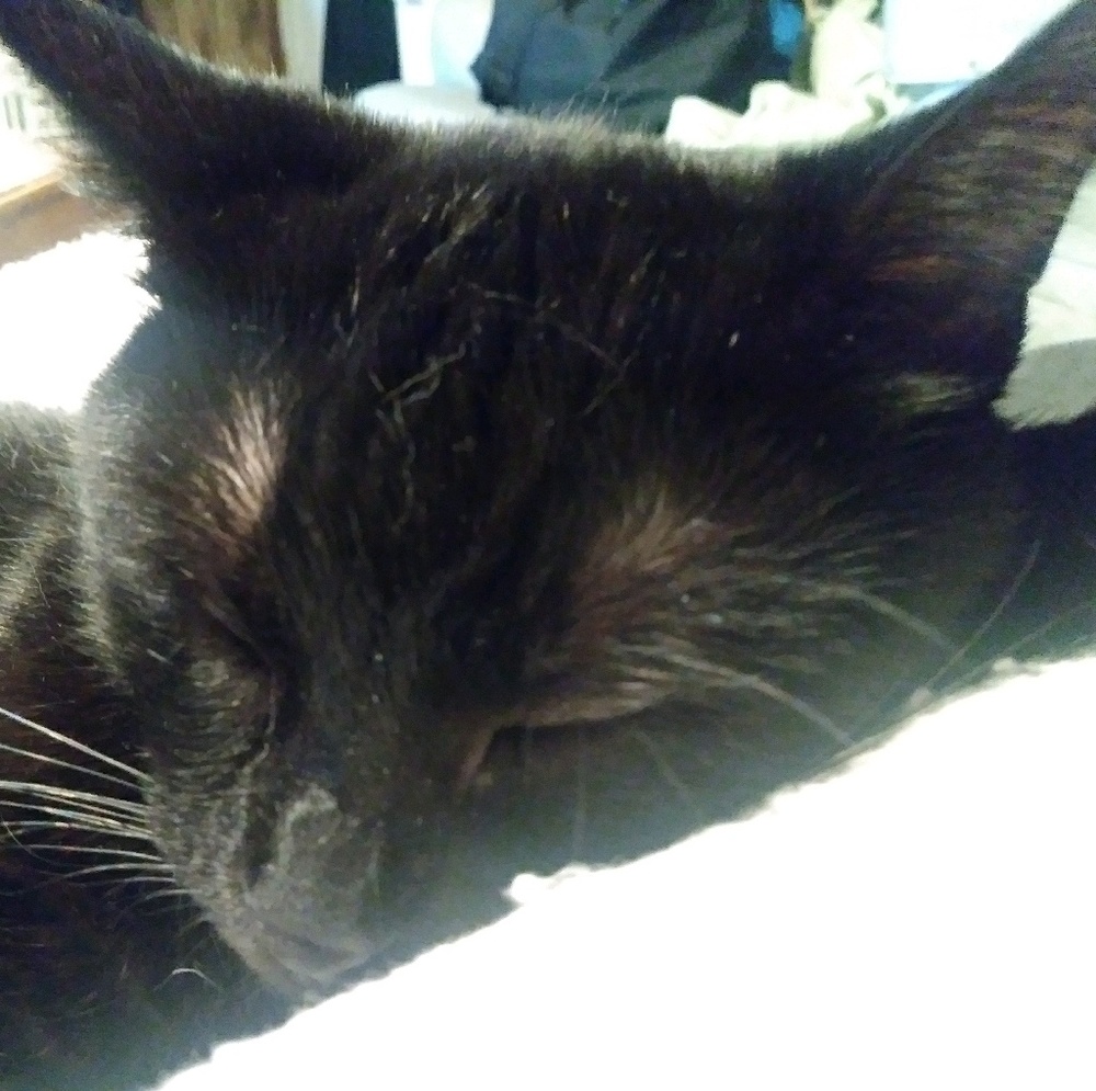 Meet your Posher, Jess